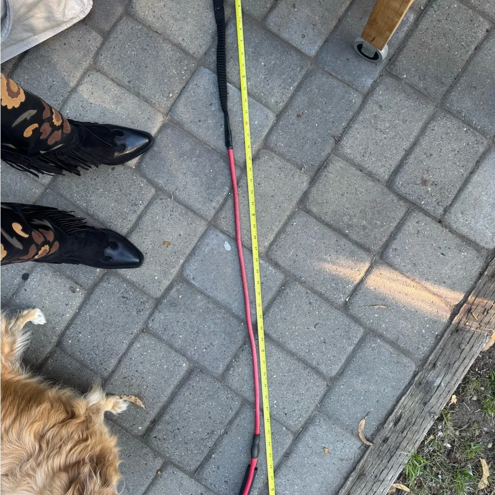 Red and Black Bungee Dog Leash